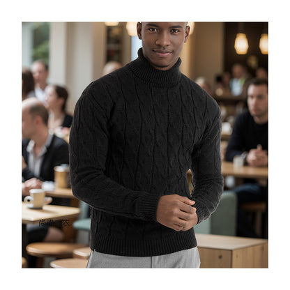 N101109 Men's Casual Sweater