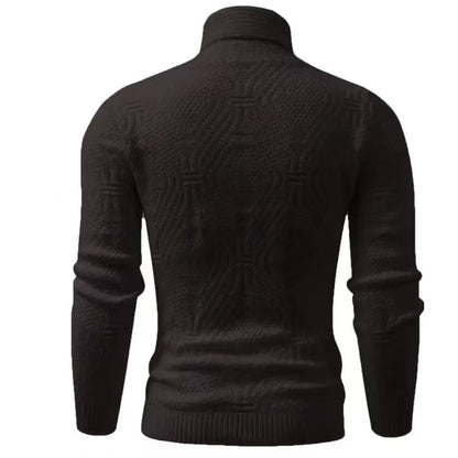 N101308 Men's Casual Sweater